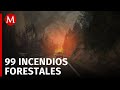 En Hidalgo, se registran 99 incendios forestales hasta el momento