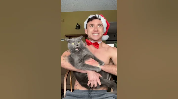 Cat bites man's face