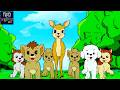Simba The King Lion Episode 11 Will Simba Be Able To Catch The Rabbit Simba Full Episode