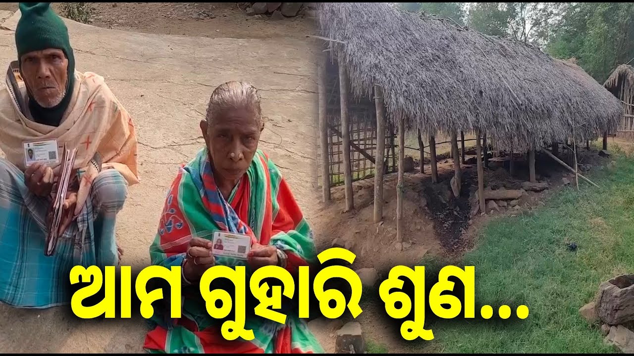 ଖରା ବର୍ଷା ଶୀତରେ କଟୁଛି ଏଇ ଗାଁ ଲୋକଙ୍କ ଜୀବନ, ସାତ ସପନ ଘର, ଭତ୍ତା, ରେସନ କାର୍ଡରେ ଚାଉଳ || Knews odisha