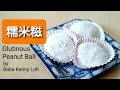 Glutinous Peanut Ball 糯米糍 Loh Mai Chi