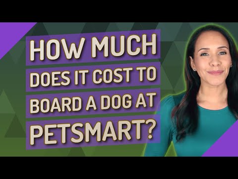 Petsmart Boarding Ratespitpoint