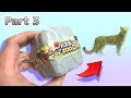 【4Dpuzzle zoo】 High Difficulty Real Animals 3D Puzzle Part3