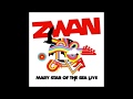 Capture de la vidéo Zwan Mary Star Of The Sea Live Full Album