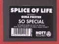 Splice Of Life feat. Gina Foster - So Special (Jazz 'N' Groove Dub)