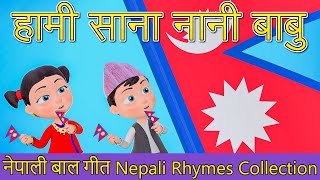 Nani Babu School Song हामी साना नानी बाबु | Nepali Rhymes for Kids  | बाल गीत