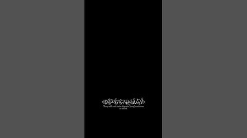 لا يذوقون فيها بردا ولا شرابا | شاشة سوداء |عبد الرحمن مسعد | سورة النبأ