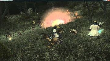 FFXIV ARR Gameplay The Hokuten Knights [N SKY] Western La Noscea