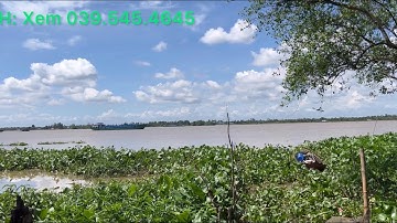 T235 @ Đất Đường Nhựa Wiew Sông Trồng Sầu Riêng + Chôm Chôm Giá 850 Triệu Trên 1.000/ M2