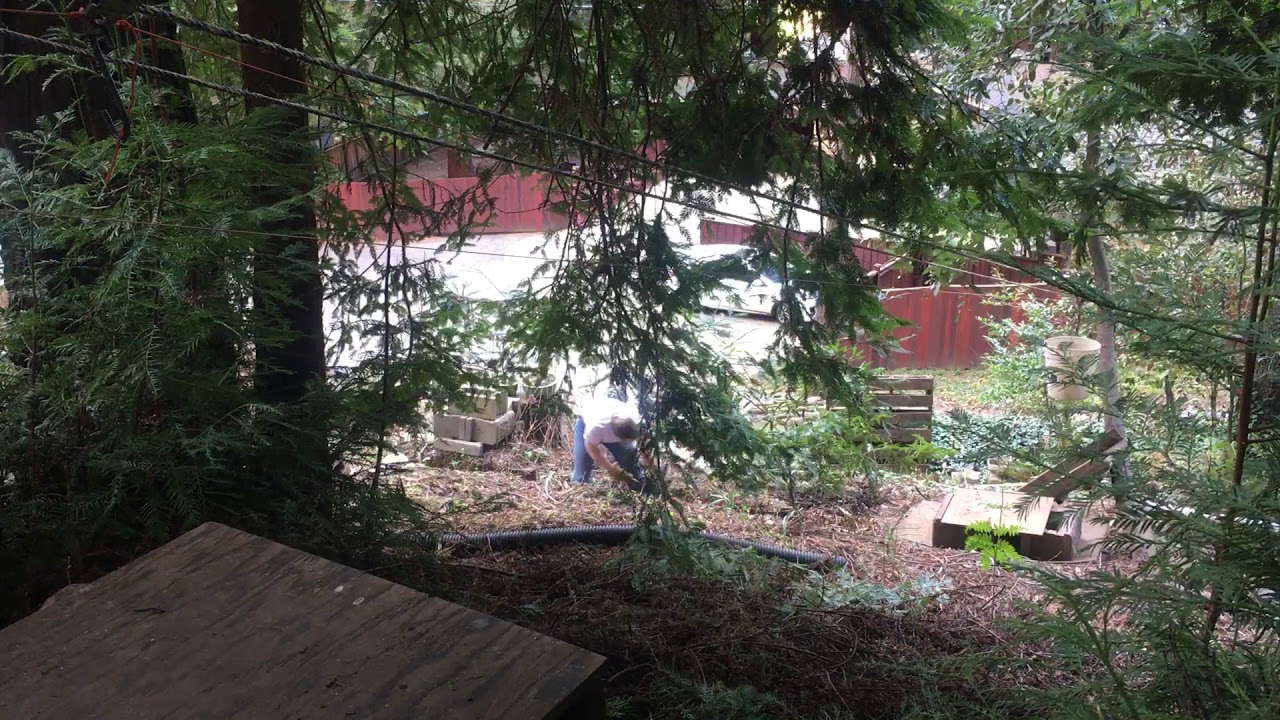 Bucket brigade YouTube