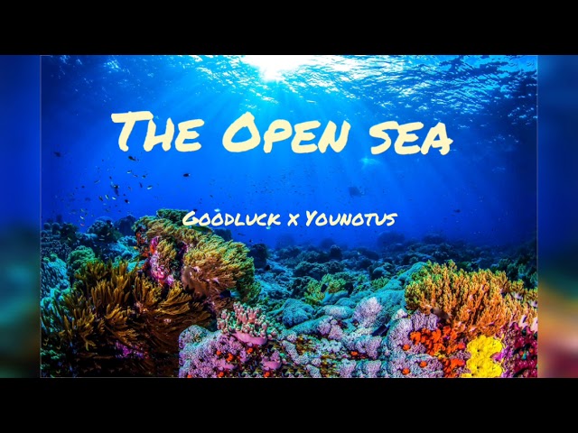 Watch Goodluck x YouNotUs | The Open Sea lyrics on YouTube