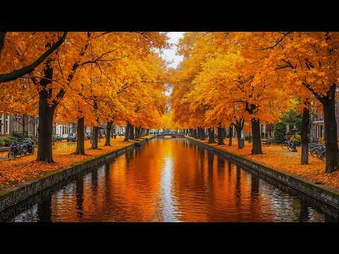 Nature Autumn Healing, Relaxing Piano Sounds 🍁 Heal Your Soul & Stop Overthinking #2