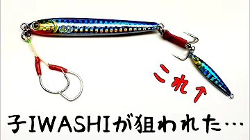 青物も釣れる ダイソージグで誰でも出来る簡単な釣り Smj ってご存知 Mp3