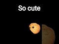 awww so cute