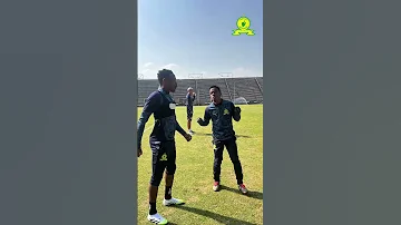 New Celebration Loading Sundowns 