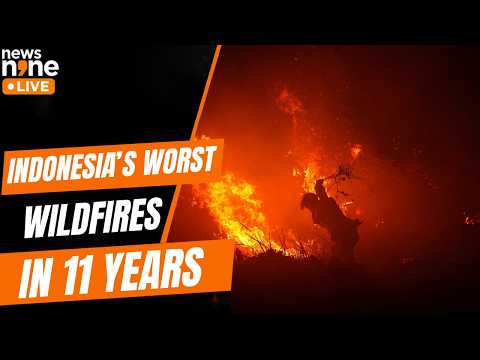 Indonesia Wildfires Blanket Borneo In Thick Haze | News9
