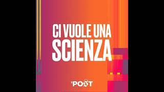 C’era una volta un dogma sul cervello