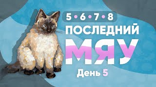 Последний мяу: финальный курс. ЕГЭ 2023: русский язык. День 5. Задания 5, 8, 6 и 7 [ЗАПИСЬ БУДЕТ]