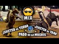 SUPER MIX - Jinetes vs Yeguas Pitayas - Jinetes vs Toros de Reparo - ADRENALINA PURA