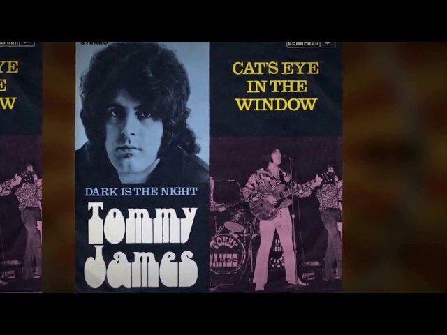 Tommy James - Cat's Eye In The Window