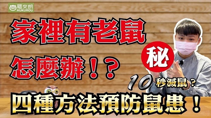 預防老鼠4大方法！讓老鼠再也不敢進你家。超強捕鼠神器，十秒解決老鼠!？