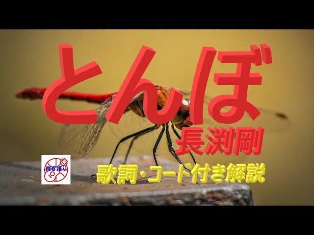 昭和フォークの名曲をギターで！ 長渕剛『とんぼ』のシンプル弾き語り