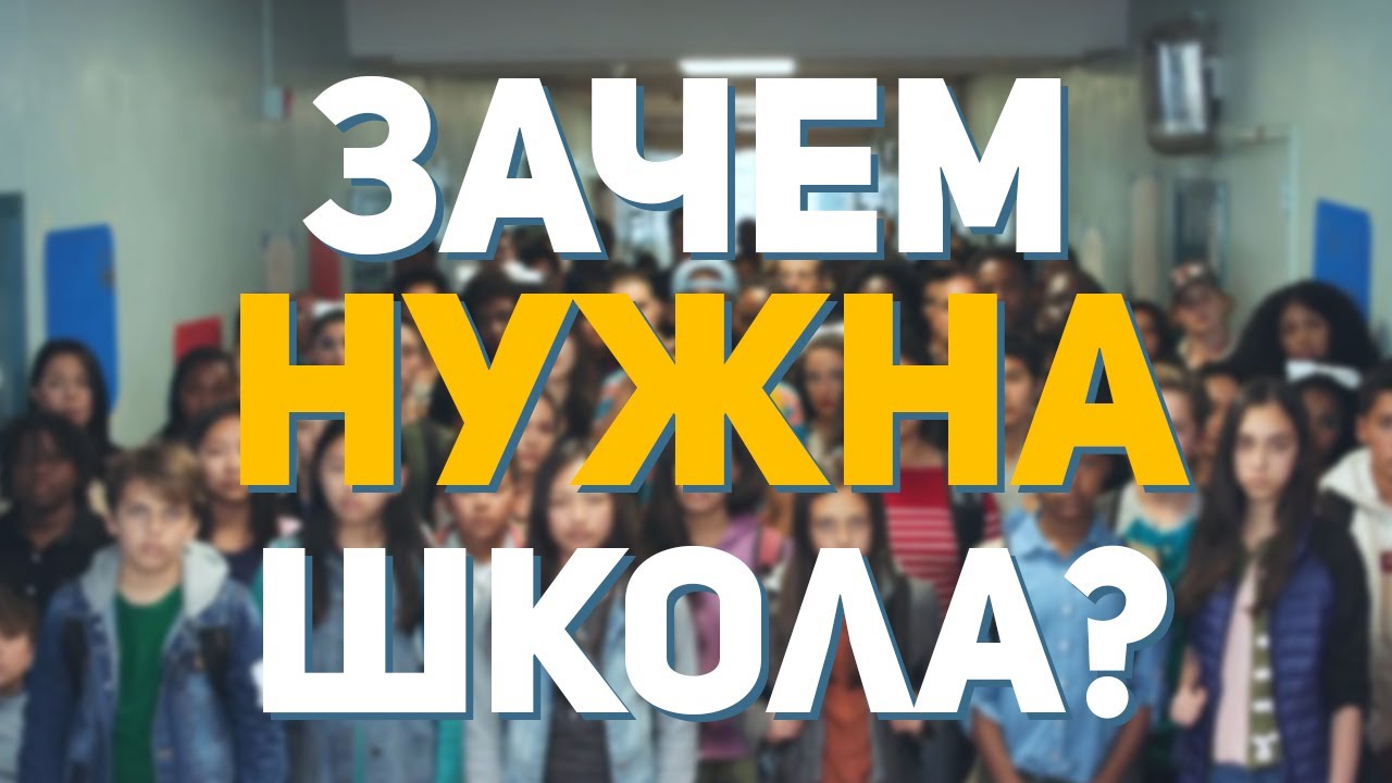 школа бесполезна