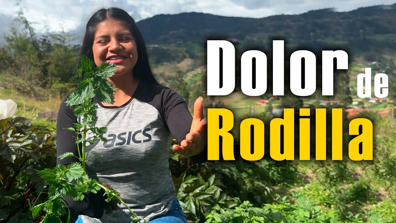 Dile adiós al dolor de Rodilla