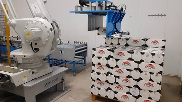 Robotic Palletising-Cases - RMGroup