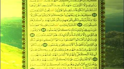 القران الكريم سورة التوبة من الاية 1 الى الاية 13