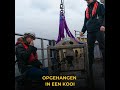 Hoe onderzoek je de natuur van de zeebodem?