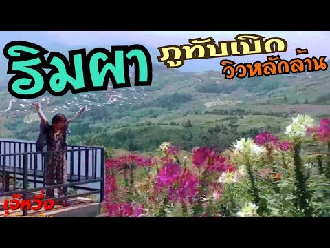 Ep14 #รีวิว ริมผาภูทับเบิก จ.เพชรบูรณ์ #วิวหลักล้าน#ชมทะเลหมอก/เจ๊หวึ่งพากินพาเที่ยว