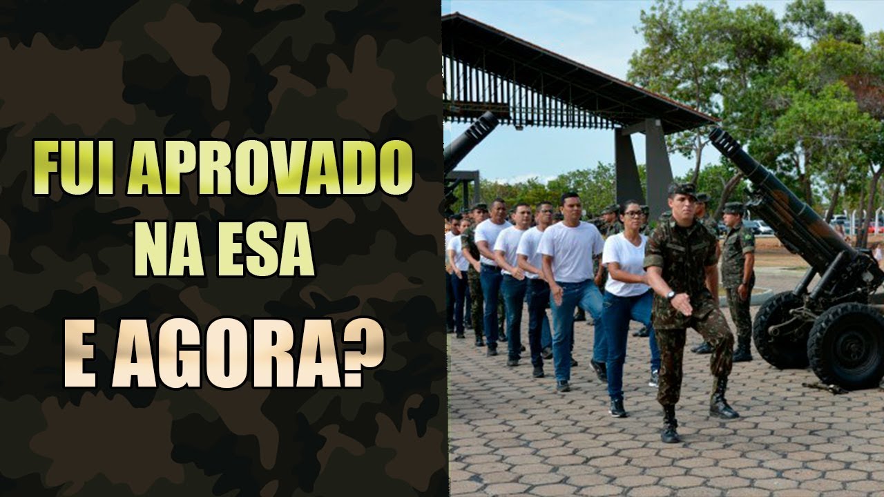 FUI APROVADO NA ESA! E AGORA?? | Papirando