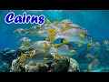 Cairns Aquarium (Acvariul din Cairns), Australia ep 16 - travel calatorie video vlog tourism