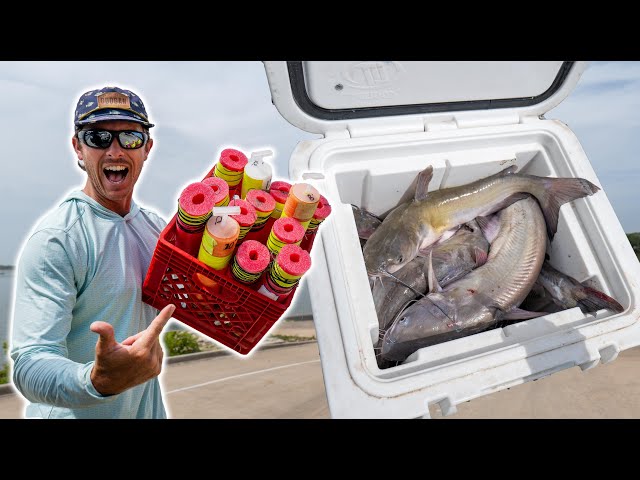 FISHING MY DIY JUGS  Filling the Cooler with Catfish! 