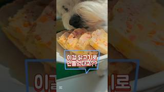 강아지 테린 간식 만들기 닭고기 테린 🍗👨🍳 레시피 #강아지수제간식 #강아지닭고기간식 #강아지테린 #포숑 #율탱 #강아지간식레시피 #33레시피 #강아지간식만들기#다이어트