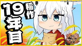 【天穂のサクナヒメ】19年目もみんなで米作り【ホロライブ/白上フブキ】