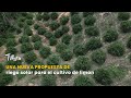 Una nueva propuesta de riego solar para el cultivo de limon - TvAgro por Juan Gonzalo Angel