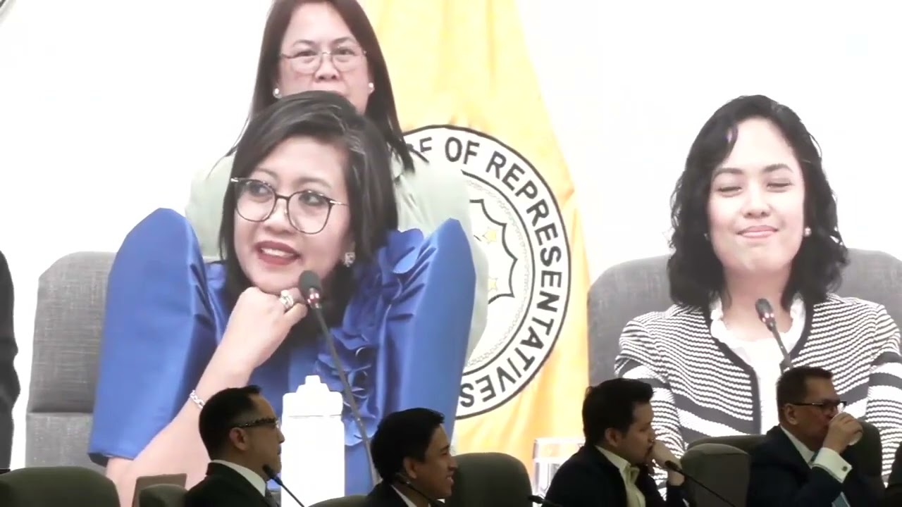 House panel strikes out Suntay's lewd remarks vs Anne Curtis