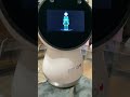 Jibo the robot does yoga