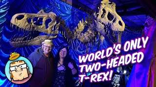 Unveiling of the World's Only Two Headed T-Rex!  Unbelievable Collection of Sideshow Performers!
