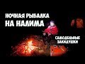 Рыбалка с ночёвкой на налима. Рузское водохранилище.