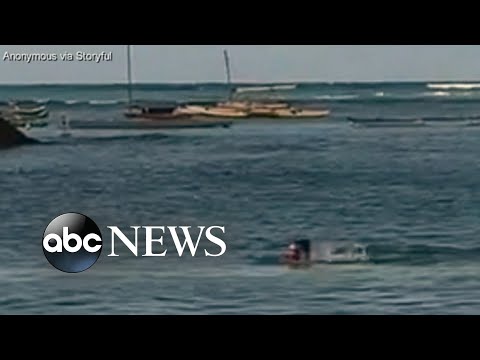 Seal attack off Hawaiian beach