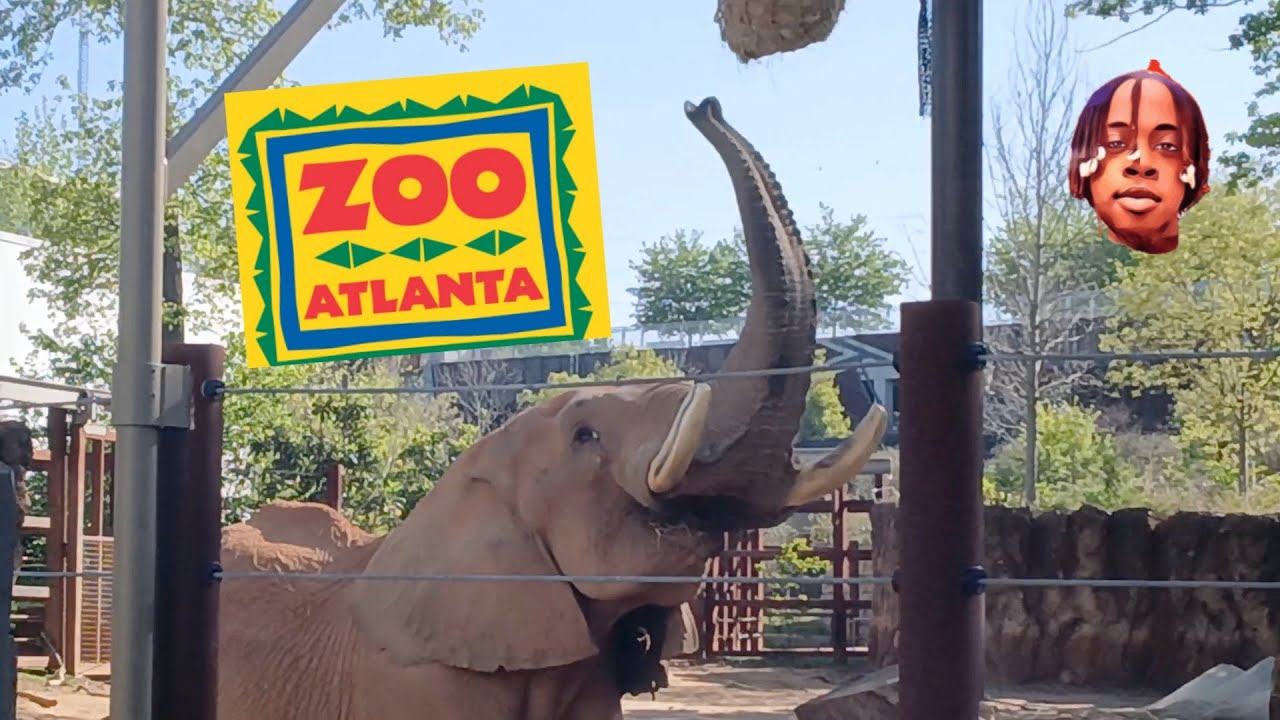 ZOO ATLANTA