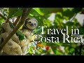 ВСЯ ПРАВДА О КОСТА РИКЕ! TRAVEL IN COSTA RICA.Цены/пляжи/национальные парки/аренда машины/отели #29