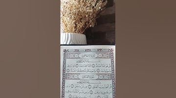 سورة الإخلاص 🤍