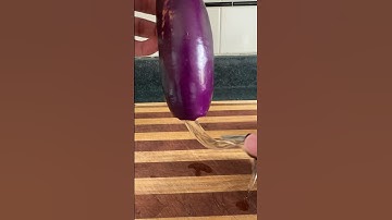 Why it’s called Eggplant.                         #eggplant #egg #biology