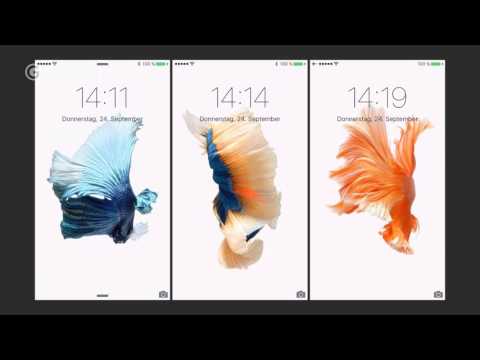  iOSMac Descarga los fondos exclusivos del iPhone 6s en tu dispositivo  