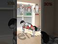 Just 5 Minutes of Push-Ups Can Turn Your Body Into a Power Machine 😱#fitness #exercise #shorts