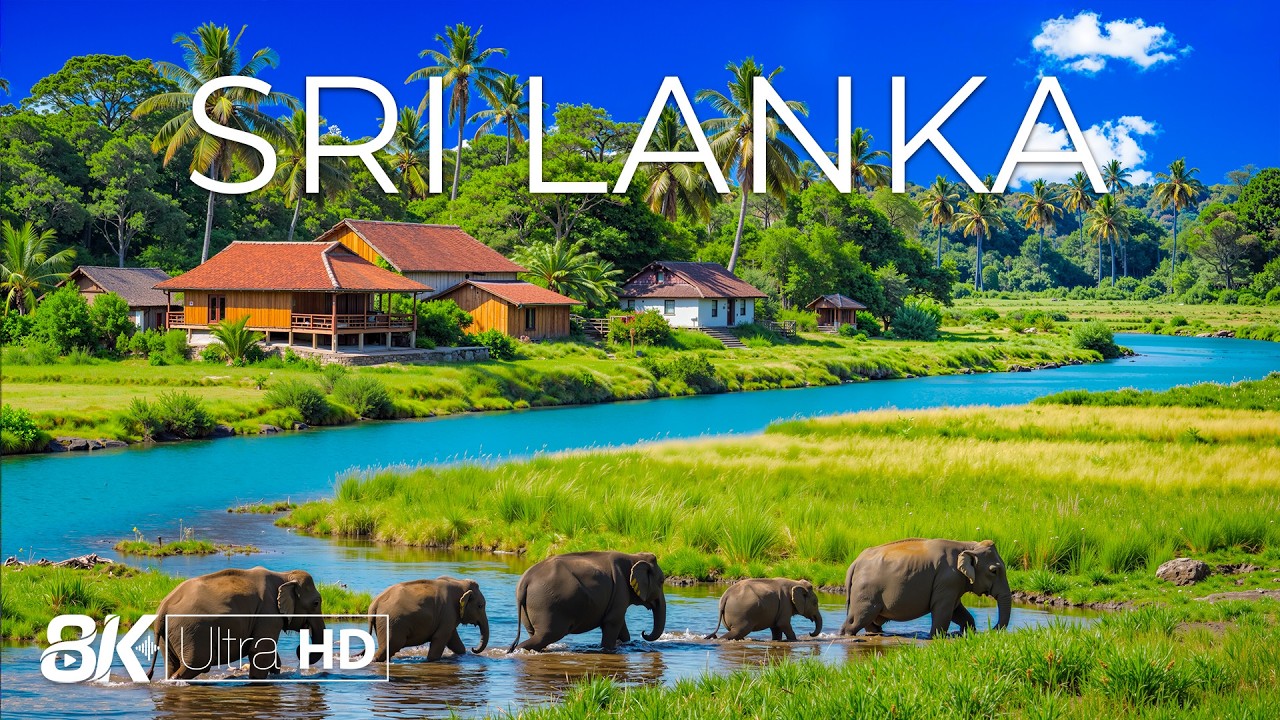 Sri Lanka 8K | Tropical Paradise – Lush Rainforests, Ancient Temples & Pristine Beaches